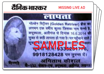 Dainik Bhaskar Classified Ad Booking